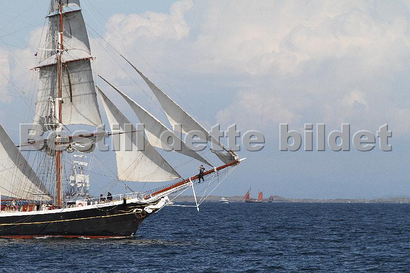 TSR2011_2 241.JPG
